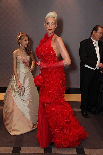 Staraufgebot beim Wiener Opernball - die Bilder...