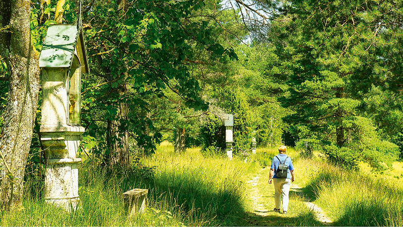 Der Kreuzweg zur Hardtkapelle.
