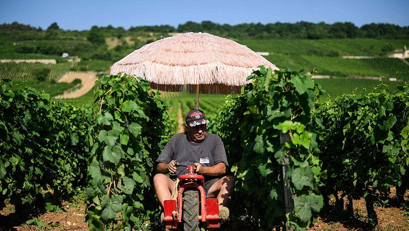 Neben Lieferdiensten und Bauarbeitern ist die Landwirtschaft besonders von Hitze betroffen. (Archivbild)