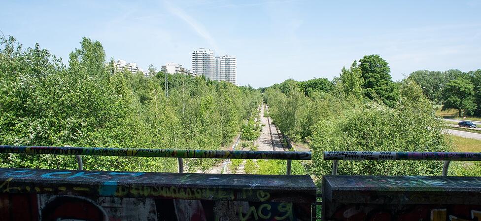 Der Blick vom alten S-Bahnhof nach Norden: Wird das ein neuer Park für München?