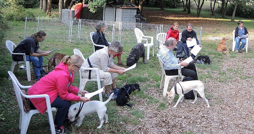 Büffeln in der Hundeschule: Die Teilnehmer eines Praxis-Kurses für den Hundeführerschein bei ihrer Theorie-Stunde. 	Foto: Burmeister/dpa