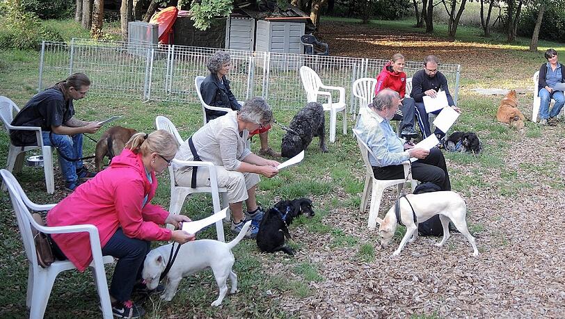 Büffeln in der Hundeschule: Die Teilnehmer eines Praxis-Kurses für den Hundeführerschein bei ihrer Theorie-Stunde. Foto: Burmeister/dpa Büffeln in der Hundeschule: Die Teilnehmer eines Praxis-Kurses für den Hundeführerschein bei ihrer Theorie-Stunde. Foto: Burmeister/dpa