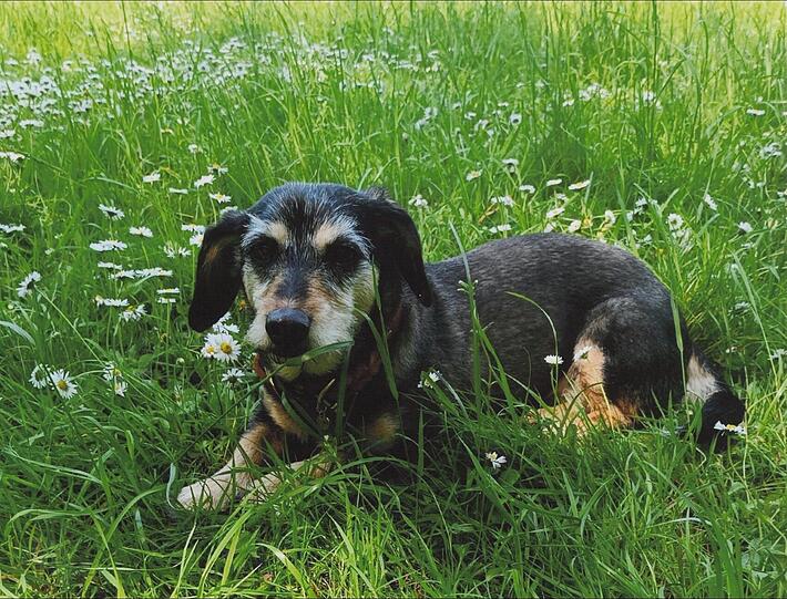 Betty