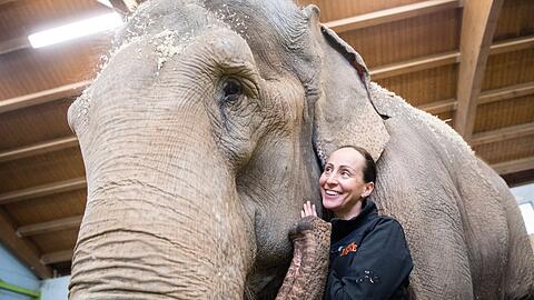 Jana-Mandana Lacey-Krone, Direktorin des Circus Krone, streichelt im Elefantenhaus auf dem Gel&auml;nde des Circus Krone die indische Elefantenkuh Bara. (Archivbild)