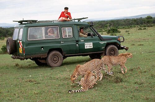 Safari in Afrika