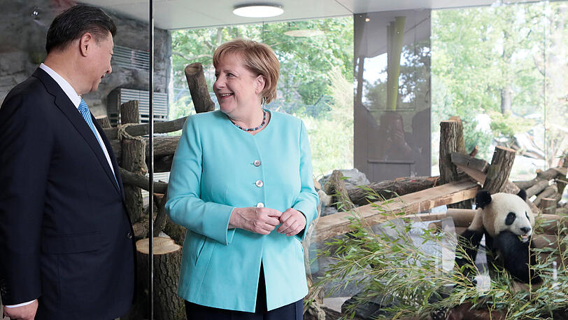 Bundeskanzlerin Angela Merkel und der Staatspräsident von China, Xi Jinping, stehen im Zoo in Berlin bei der Eröffnung der neuen Anlage für zwei Pandabären aus China.