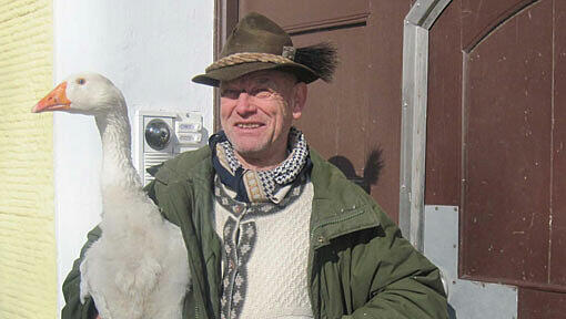 Münchner Original? Der Gänse-Heinrich mit der Gans. Münchner Original? Der Gänse-Heinrich mit der Gans.