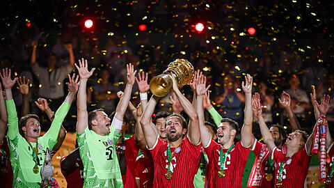 Der FC Bayern kr&ouml;nte am Samstag seine Saison mit dem nationalen Double. Der Weg dorthin war von Rekorden gepflastert.