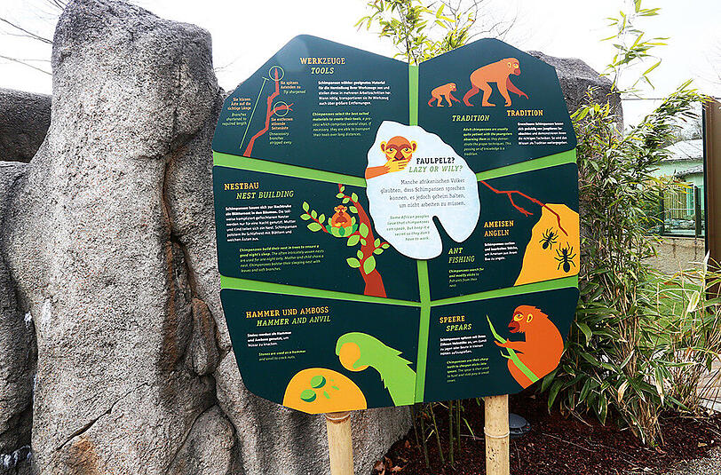 Bilder von der Eröffnung des Affengeheges im Tierpark Hellabrunn.