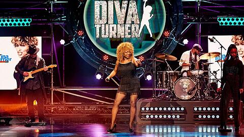 Im Mittelpunkt der neuen Sat.1-Show steht die Frage, welche Coverbands an Musikgrößen wie Tina Turner am besten herankommen.
