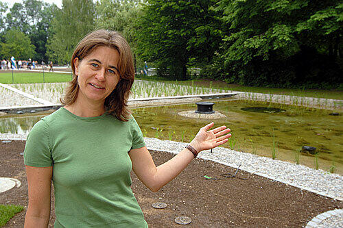 So sieht der Wasseraufbereitungstümpel aus. Bäder-Chefin Christine Kugler versichert, dass er zum idyllischen Biotop wird.