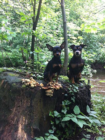 Suri mit ihrem Hunde-Gefährten Diego.
