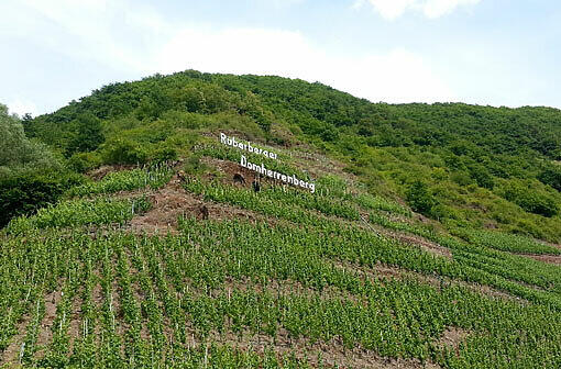 Werbeschrift im Weinberg.