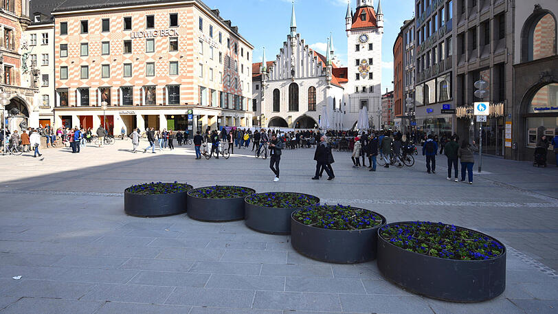 Die Stadt hat neue Pflanztröge am Marienplatz errichtet. Die Bilder.
