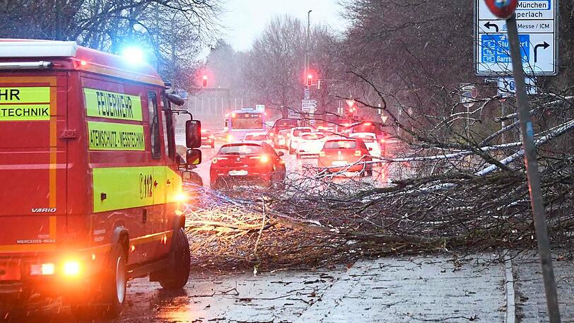 Auf der Rosenheimer Straße kurz vor der Auffahrt auf die A8 stürzten mehrere Bäume auf die Fahrbahn. Die Freiwillige Feuerwehr aus Perlach beseitigte die Hindernisse.