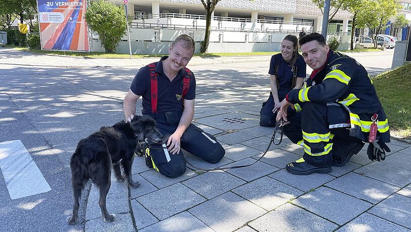 Von den Rettern von der Feuerwehr gab's für den Hund erst einmal etwas zu trinken.
