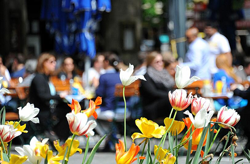 Man darf sich über perfektes Biergarten-Wetter freuen