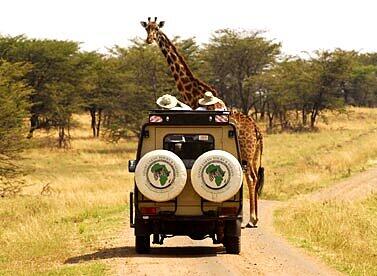 Kenia: Masai Mara, Foto: F.v. Poser