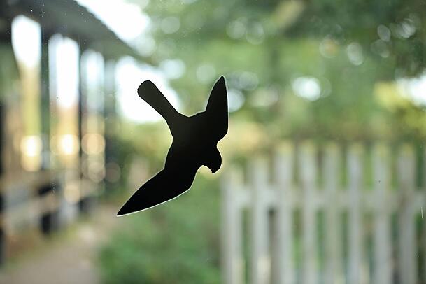 Falkensilhouetten als Vogelschreck halten V&ouml;gel nicht davon ab, gegen Glasscheiben zu fliegen. Besser sind Vorh&auml;nge aus Seilen oder gleichm&auml;&szlig;ig verteilte Punkte, die sich aufkleben lassen.