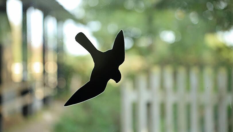 Falkensilhouetten als Vogelschreck halten V&ouml;gel nicht davon ab, gegen Glasscheiben zu fliegen. Besser sind Vorh&auml;nge aus Seilen oder gleichm&auml;&szlig;ig verteilte Punkte, die sich aufkleben lassen.
