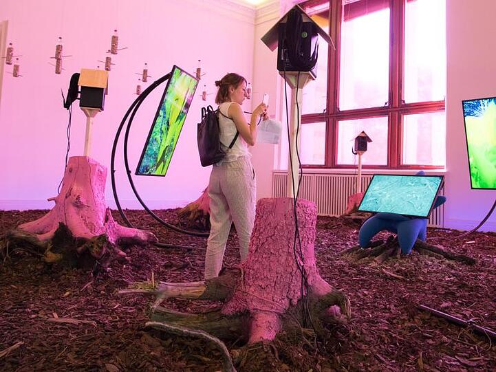 Blick in eine Installation der Künstlerin Heather Phillipson.