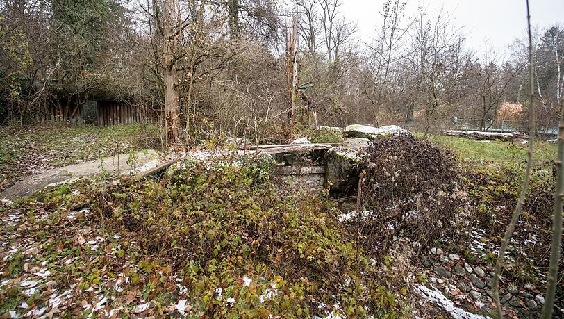 Jahrzehntelang lebten hier die Braunbären.