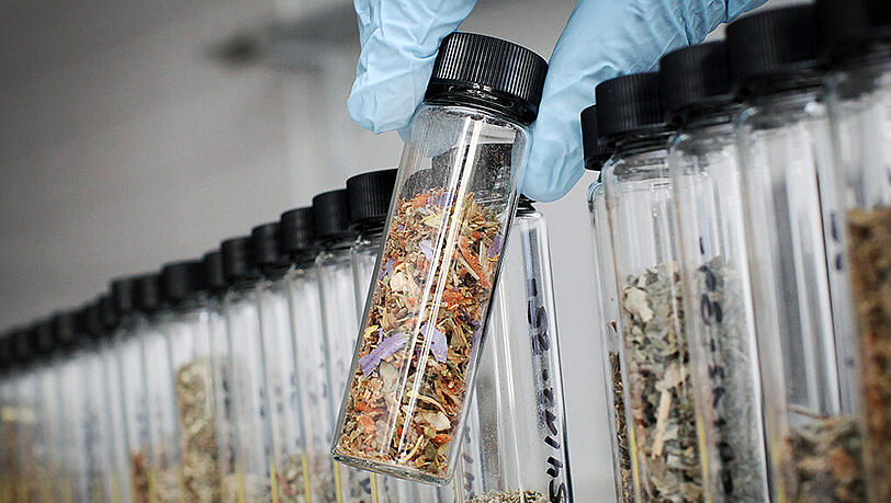 Sogenannte Legal Highs sind oft mit synthetischen Drogen versetzte Kräutermischungen. Sogenannte Legal Highs sind oft mit synthetischen Drogen versetzte Kräutermischungen.