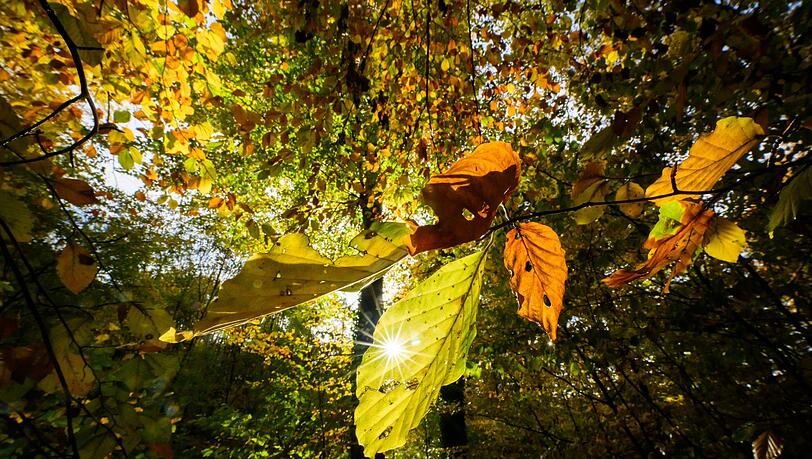Im Laufe der Woche sind mancherorts Temperaturen bis 20 Grad möglich