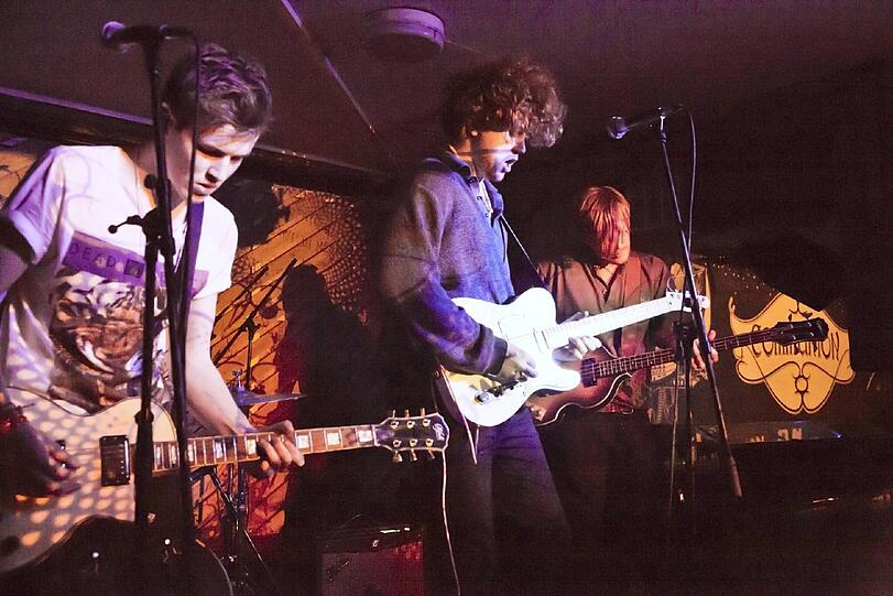 Die britische Band Viola Beach kam bei dem Unfall ums Leben. Ihr Auto stürzte von einer Brücke.