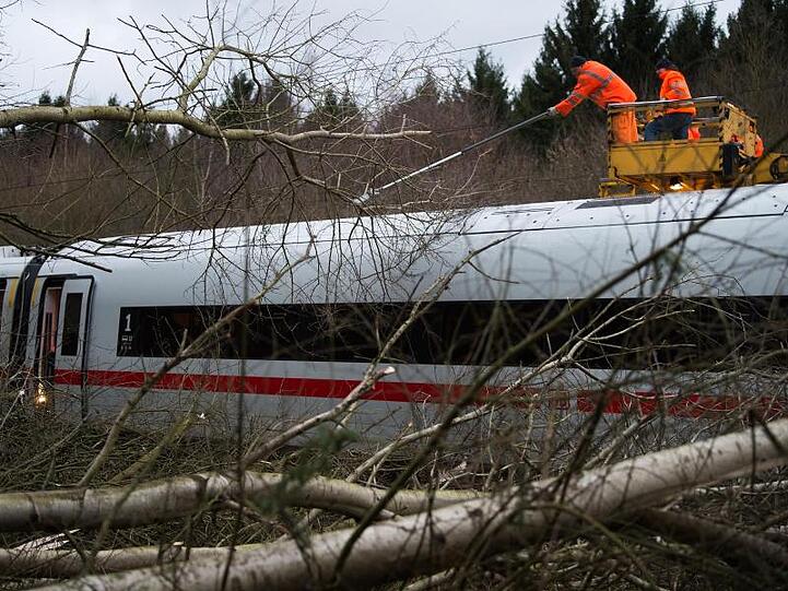 Bäume und Äste liegen auf einer ICE-Trasse zwischen Hannover und Göttingen. Sturmtief "Friederike" zog im Januar über weite Teile Deutschlands.