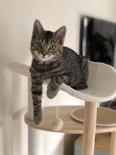 Luna