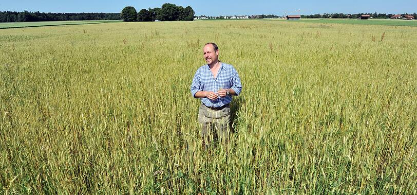 Beispiel Höhenkirchen-Siegertsbrunn: Die Gegend dort ist leicht ländlich geprägt. Doch trotz der vielen Felder und Wälder ist die Stadt mit ihren Vorzügen nicht weit.