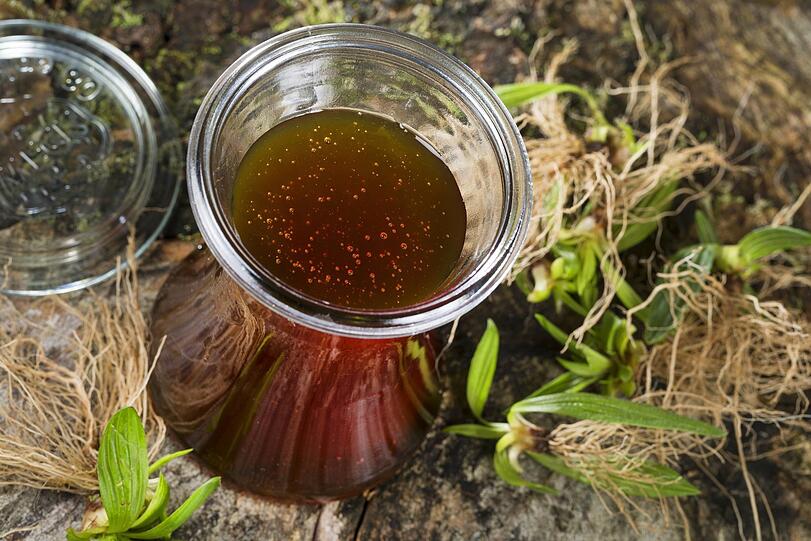 Aus Spitzwegerich lässt sich auch ein Sirup herstellen.