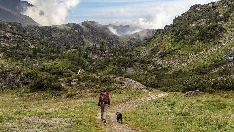 Mit dem Hund in die Alpen wollen viele Herrchen und Frauchen. Doch wo kann er &uuml;bernachten?
