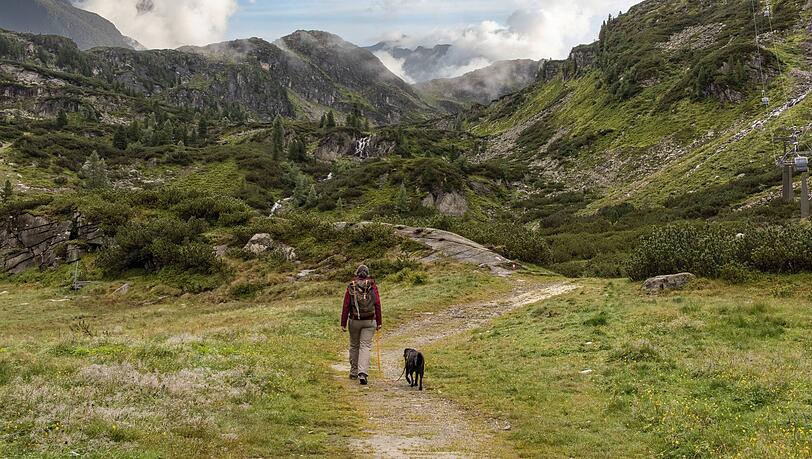 Mit dem Hund in die Alpen wollen viele Herrchen und Frauchen. Doch wo kann er &uuml;bernachten?