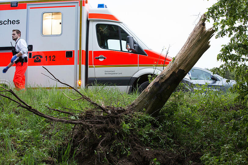 Gegen Baum geprallt: Bei einem Unfall bei Hainz am See ist ein 21-Jähriger schwer verletzt worden. Er hatte den BMW vorher aus einer Garage geklaut.