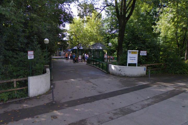 Hier ist der 28-Jährige mit seinem Opel von der Straße abgekommen.