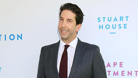 David Schwimmer hat in "Friends" Ross Geller gemimt.