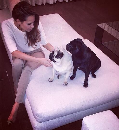 Mandy Capristo mit ihren zwei Möpsen.