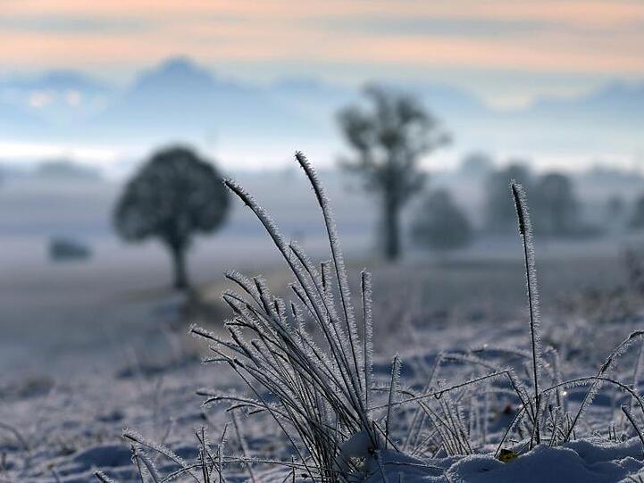 Vor allem im Süden Bayerns erhält langsam "Väterchen Frost" Einzug. (Symbolbild)