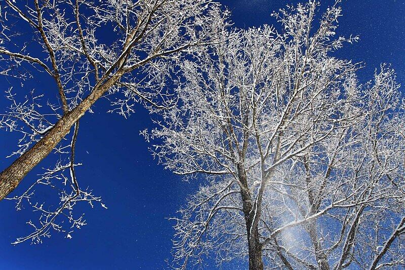 Traumhaftes Winterwettter in den Alpen: Die Bilder!