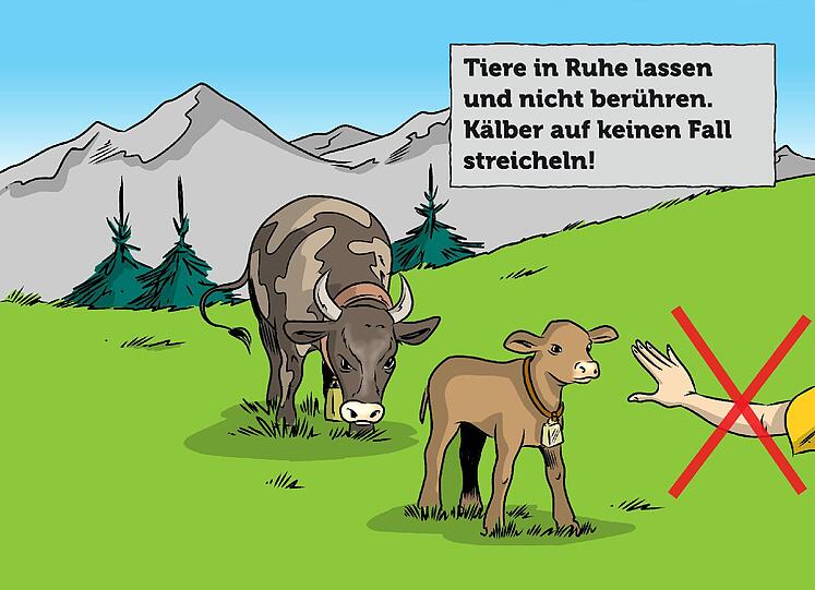 Zum Durchklicken: die Tipps aus dem Folder "Eine Alm ist kein Streichelzoo" der Tiroler Landwirtschaftskammer.
