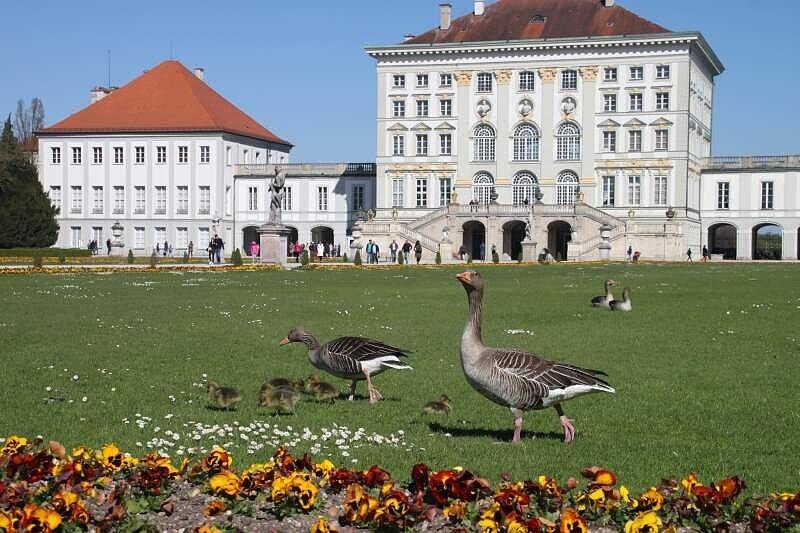 Ein tierisch schönes Foto