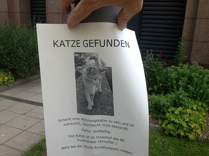 Mit diesen Zetteln sucht der BR momentan nach den Haltern des getigerten Ausreißers.