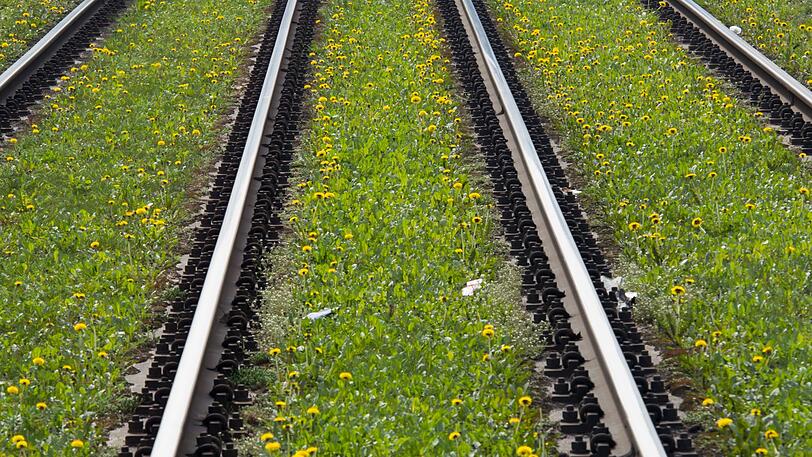 Macht es Sinn, alte Trambahn-Gleise wieder ins Netz zu integrieren?