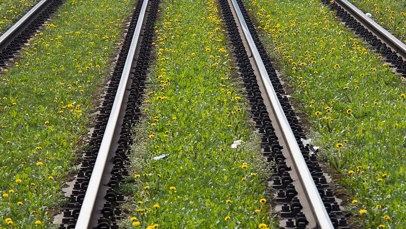 Macht es Sinn, alte Trambahn-Gleise wieder ins Netz zu integrieren? Macht es Sinn, alte Trambahn-Gleise wieder ins Netz zu integrieren?