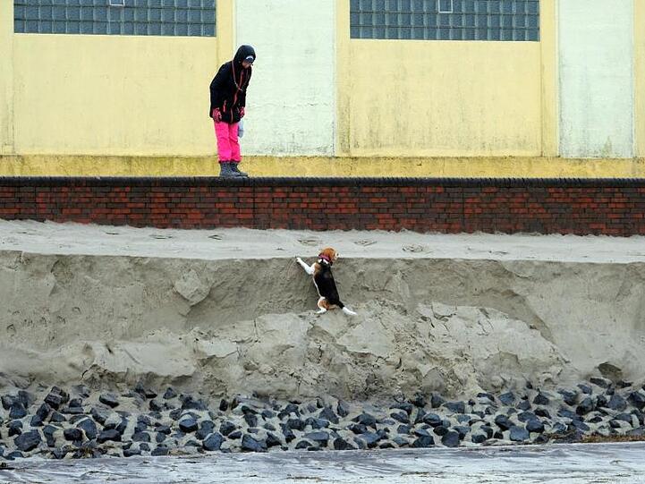 Haustier in Not: Eine Spaziergängerin hilft ihrem Hund an der Abbruchkante des Strandes von Wangerooge.