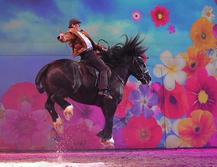 Die Show "Apassionata" verknüpft internationale Reitkunst mit Ballett und Musik.