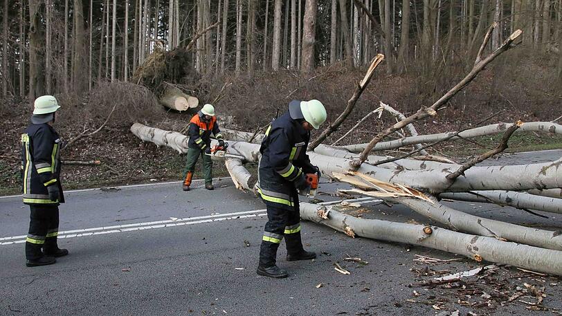 Auf der B12  am Bürger Berg lagen zwei Buchen quer zur Fahrbahn und machten ein Durchkommen für den Straßenverkehr unmöglich.
