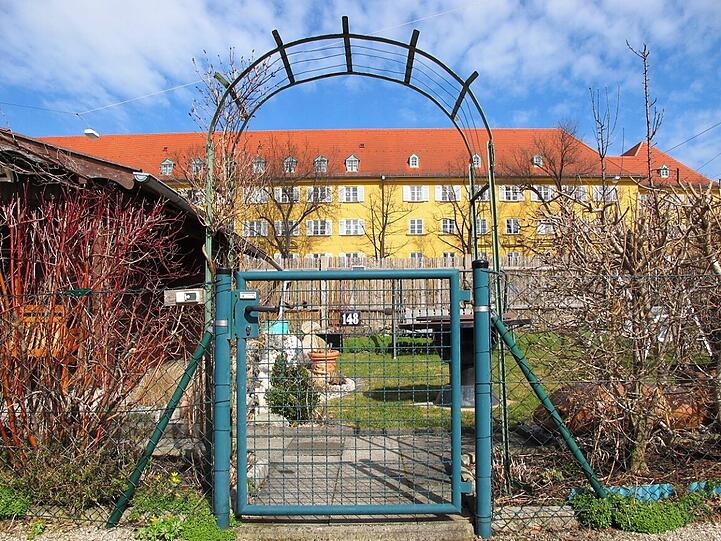 AZ-Leser Djordje Matkovic hat in der Gartenlaube in Moosach die Frühlingsboten fotografiert. Die Bilder.